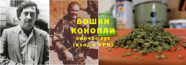 ПСИЛОЦИБИНОВЫЕ ГРИБЫ Белокуриха