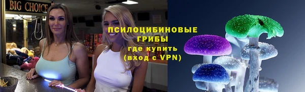 ешки Белоозёрский
