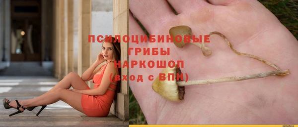 ешки Белоозёрский