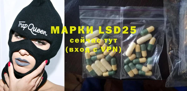 ПСИЛОЦИБИНОВЫЕ ГРИБЫ Белокуриха