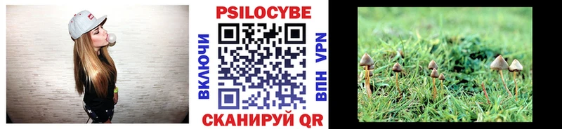 Галлюциногенные грибы GOLDEN TEACHER  продажа наркотиков  Сковородино 